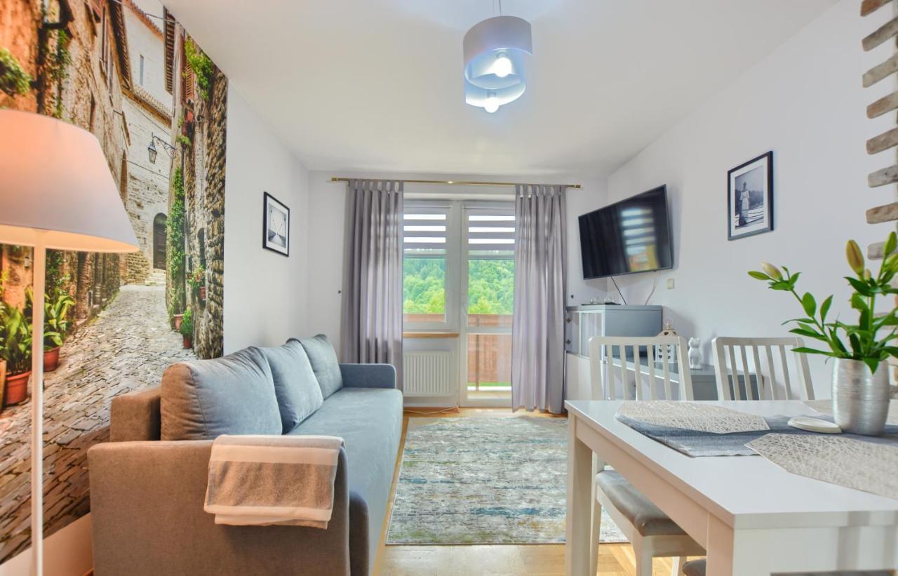 Apartamenty Bieszczadzki Aniol Ustrzyki Dolne Buitenkant foto