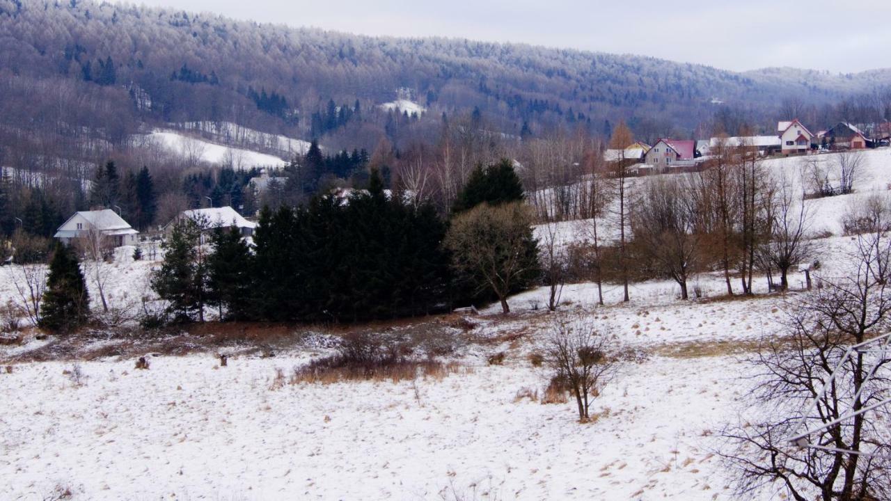 Apartamenty Bieszczadzki Aniol Ustrzyki Dolne Buitenkant foto
