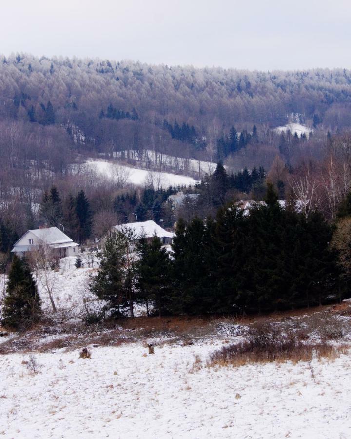 Apartamenty Bieszczadzki Aniol Ustrzyki Dolne Buitenkant foto