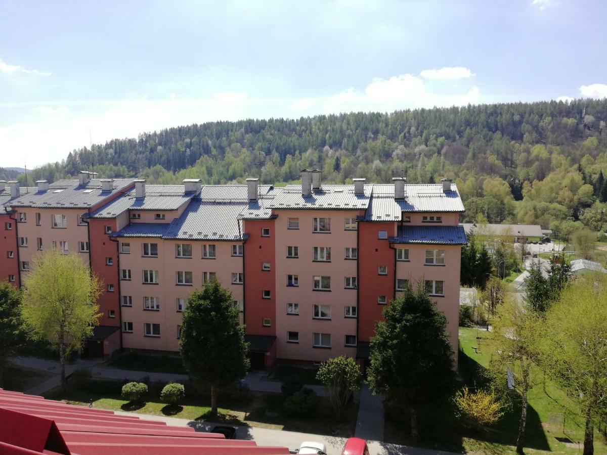 Apartamenty Bieszczadzki Aniol Ustrzyki Dolne Buitenkant foto